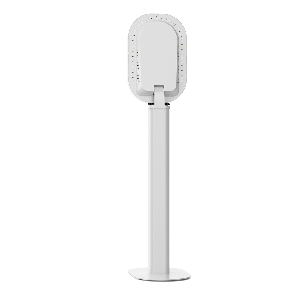 Arzzuca V
