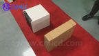 DNP DS620